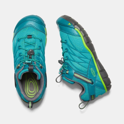 Keen Chandler Cnx Vandringsskor Barn Blå | RBGXA0251