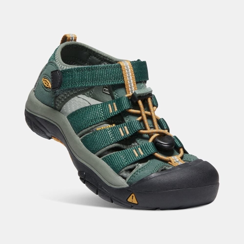 Keen Newport H2 Sandaler Barn Mörkgröna | YATJD0216