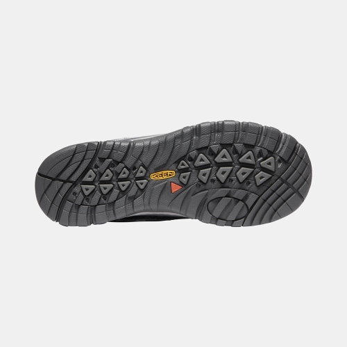 Keen Terradora Evo Vandringsskor Dam Grå | PZBXC3840