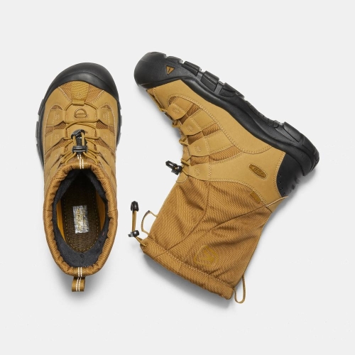 Keen Winterport II Vinterkängor Herr Guld Svarta | MWUFQ3120